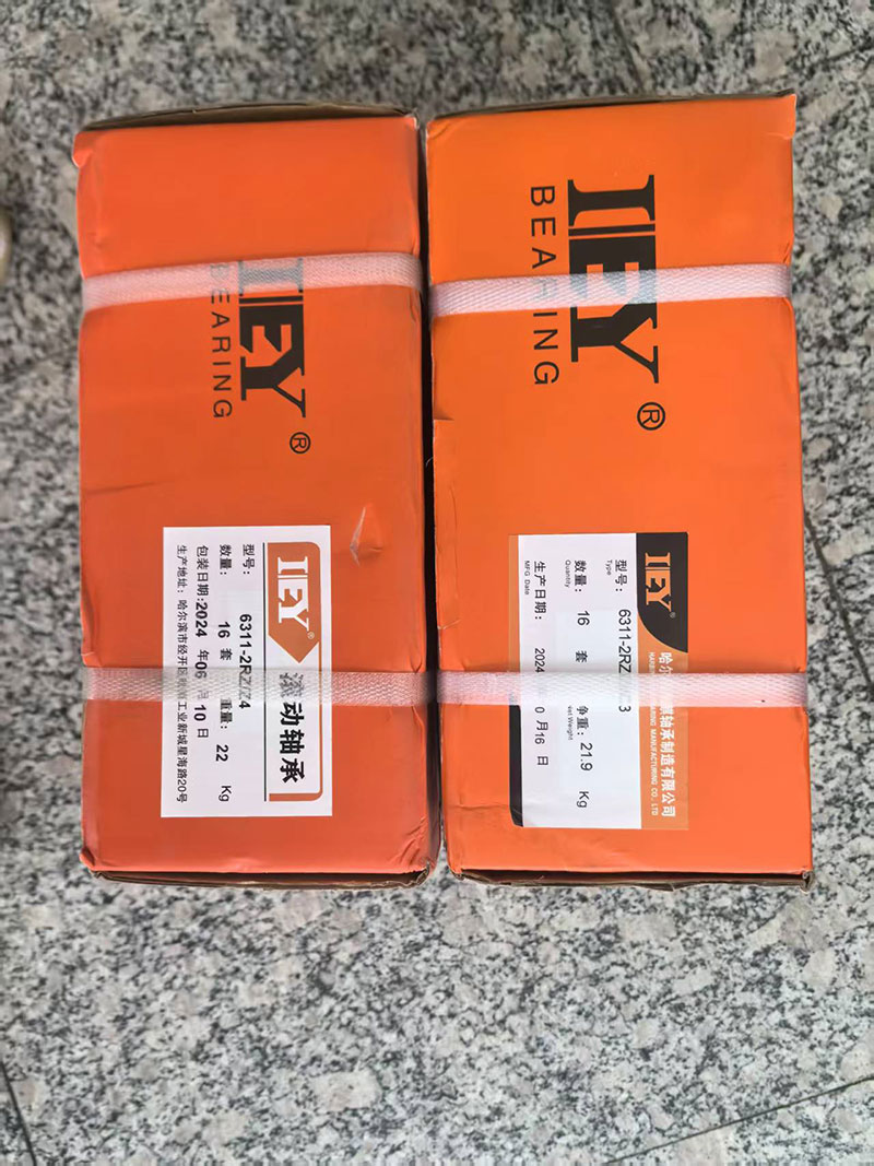 沈陽IEY電機軸承